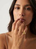 The Classic Signet Ring